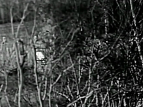 森林防火多火點(diǎn)識(shí)別